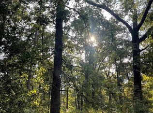 246 Spring Lake Knl, Holly Lake Ranch, TX 75765