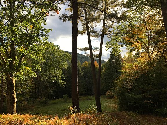 View from front porch