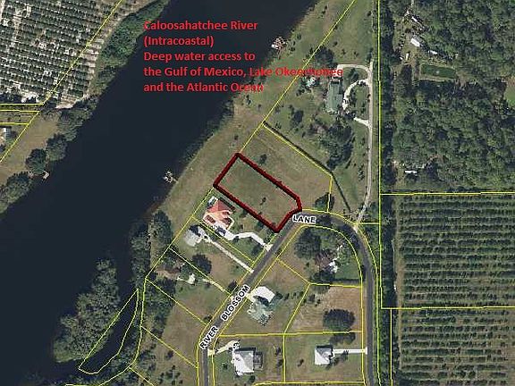 4th image of 5258 River Blossom Ln