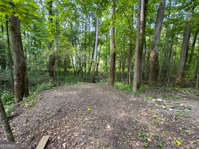 90 Howard Rd — Photo 19
