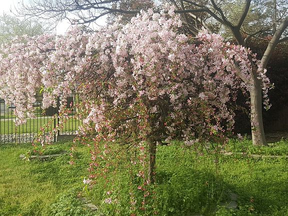 Front yard driveway view