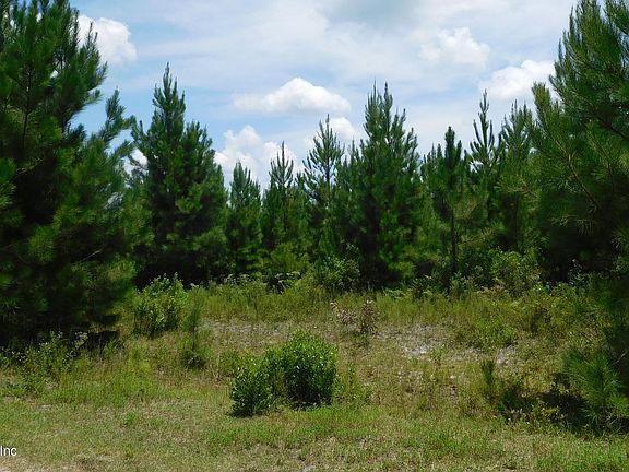 3rd image of 56585 DAVIS Road