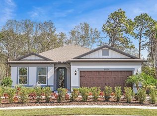 6573 Asbury Barnes Ln, Wesley Chapel, FL 33545
