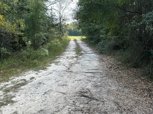  NE 67th Pl, Williston, FL 32696