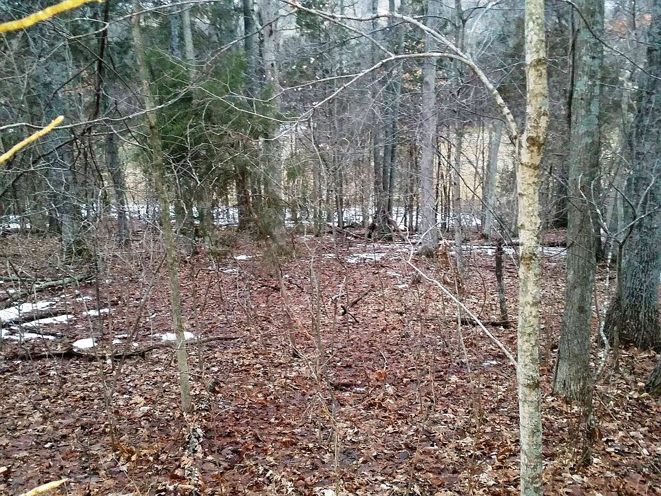 2nd image of Oak Dr Lot 41