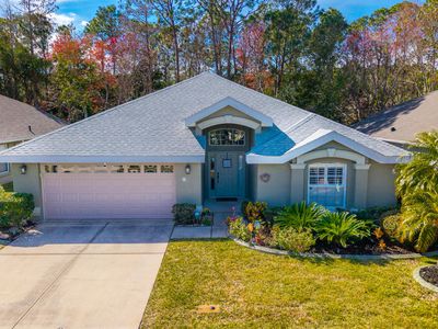 28 Cormorant Cir, Daytona Beach, FL, 32119