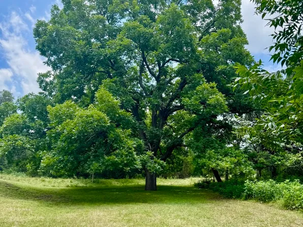 359 BUD DANNER DR LOT 101A, Leakey, TX 78873