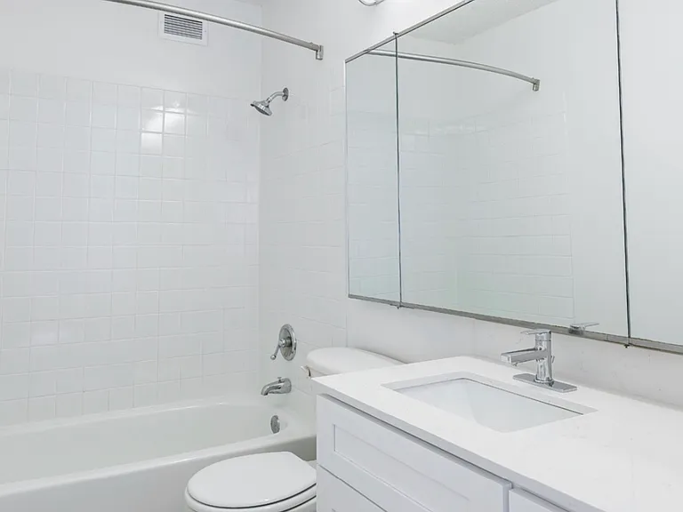 301 N Stetson Ave #3207 — Photo 7