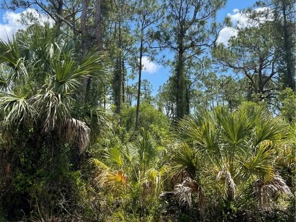 20 Fitch Ave, Lehigh Acres, FL 33936