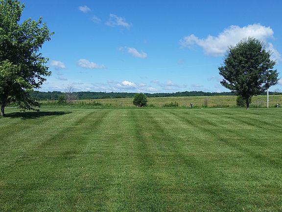 Front yard 
