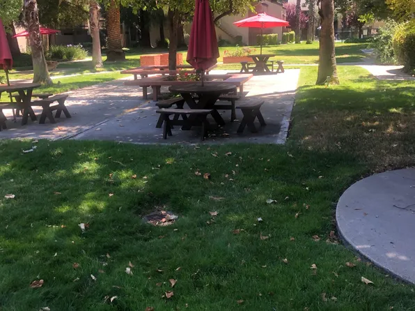 2738 Oak Rd APT 167, Walnut Creek, CA 94597