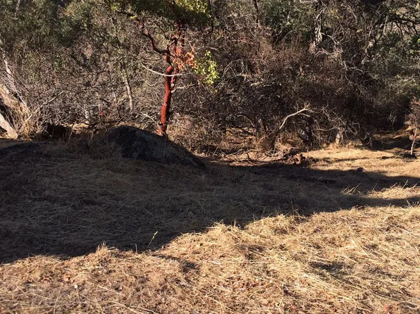 4983 Pueblo Trl, Copperopolis, CA 95228