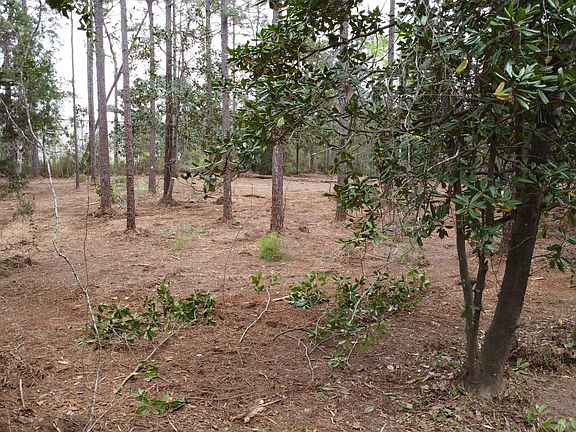 4th image of LOT 10 Baldwin St