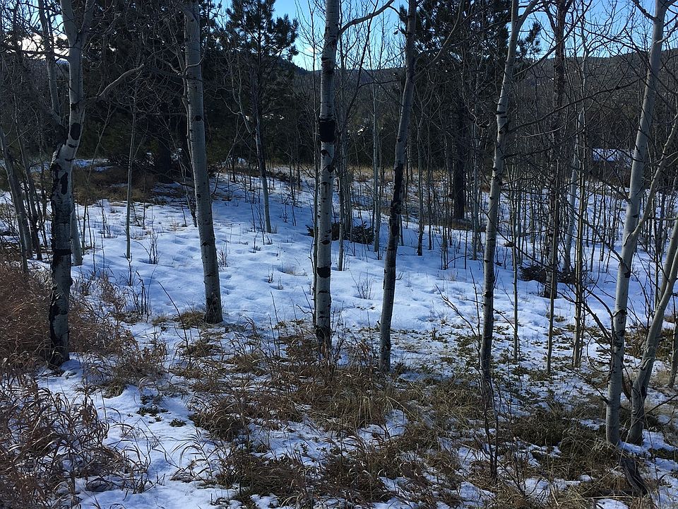 Loaded with Aspen Trees 