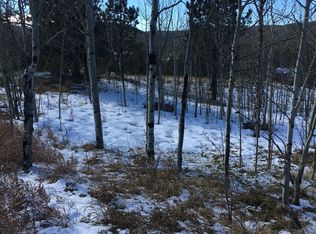 585 Pembrook Dr, Woodland Park, CO 80863