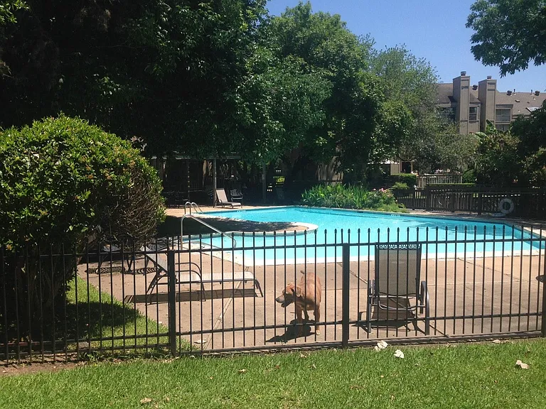 Community Pool access
