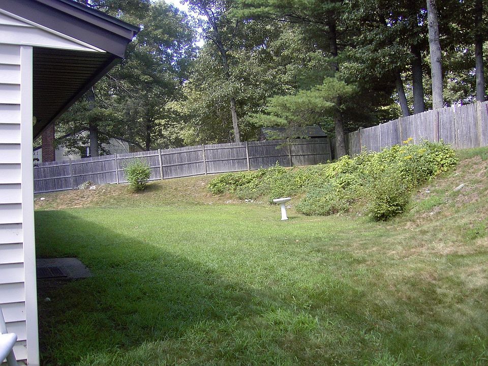 back yard