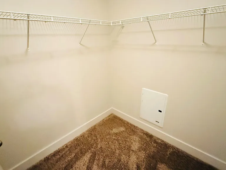 Spacious Walk in closet