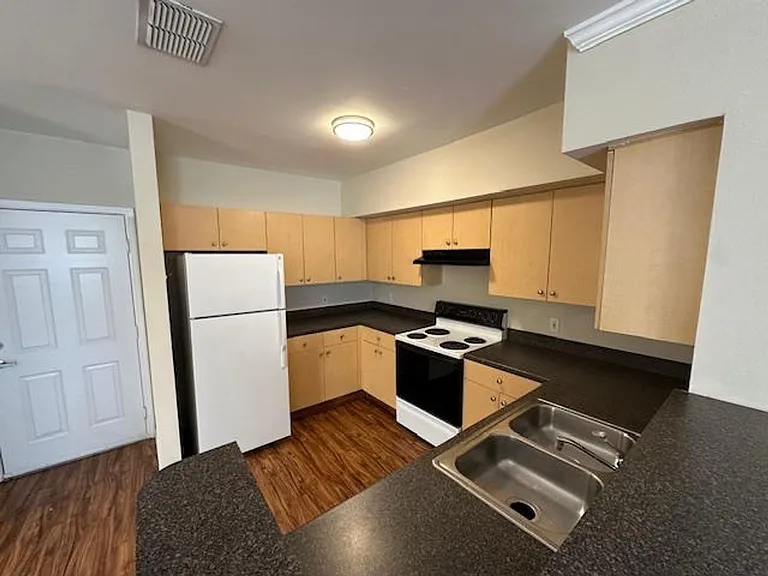 727 Siena Palm Dr — Photo 4