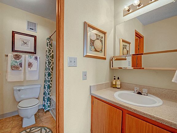 Grand View Bathroom With Shower Curtain