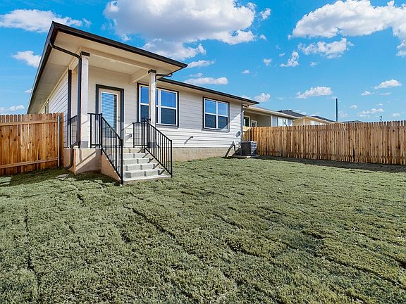 Amber - Back Yard