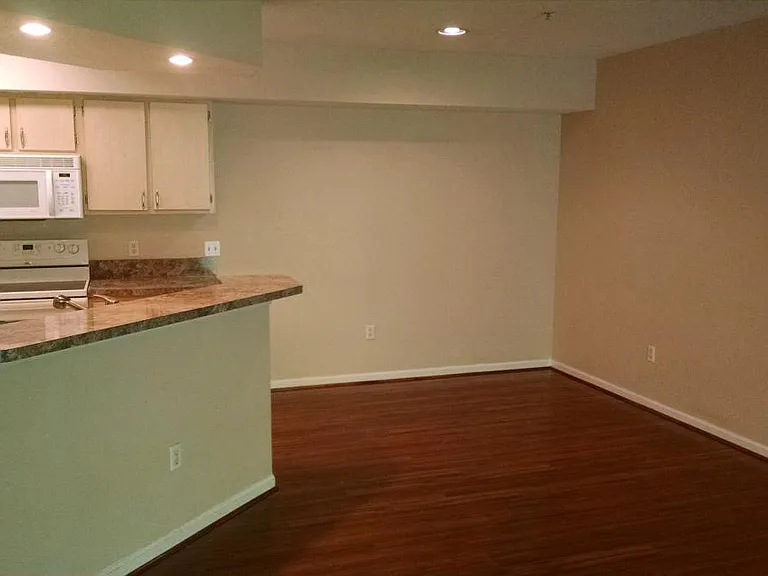 12602 Crest Springs Ln #1326 — Photo 4