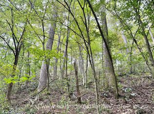 0 Wolfpenn Rd, Coxs Mills, WV 26342