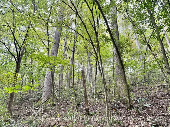 0 Wolfpenn Rd, Coxs Mills, WV 26342