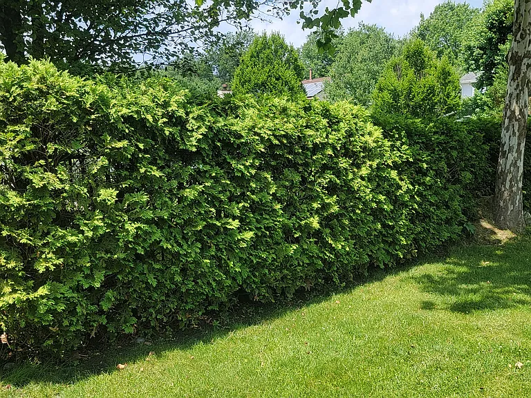 107 Windsor Ct — Photo 3