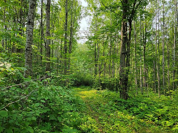 4th image of Woodbury Dr