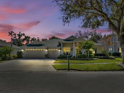 2226 Climbing Ivy Dr, Tampa, FL, 33618