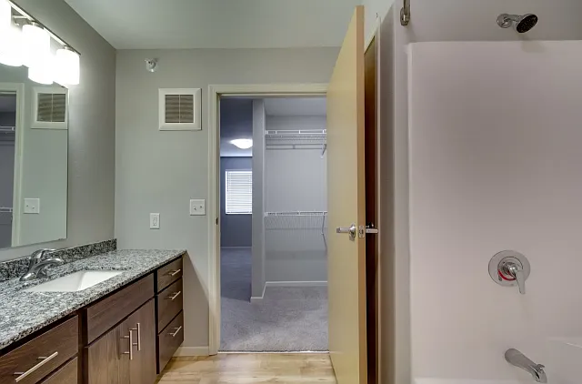Walk Through Closet to Bathroom Walk Through Closet to Bathroom