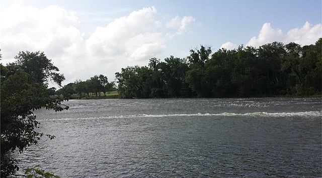 Toward dusk, the riverside is the place to be. Waterbirds, eagles, herons, glorious wildlife.