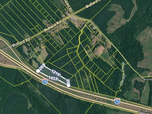 0 Noah Thomas Rd, Dry Branch, GA 31020
