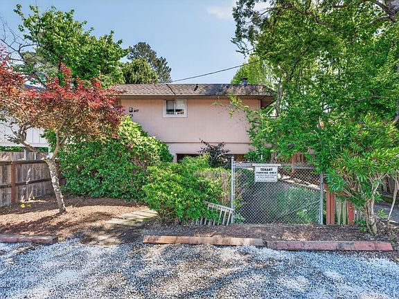 2nd image of Maple Millvalley