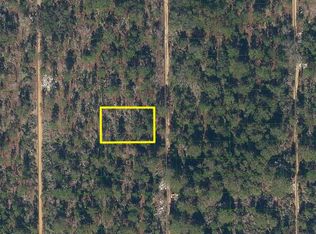 227 Maple Ln LOT 23, Interlachen, FL 32148
