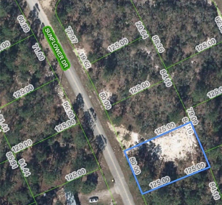 1st image of 125 Sunflower Dr