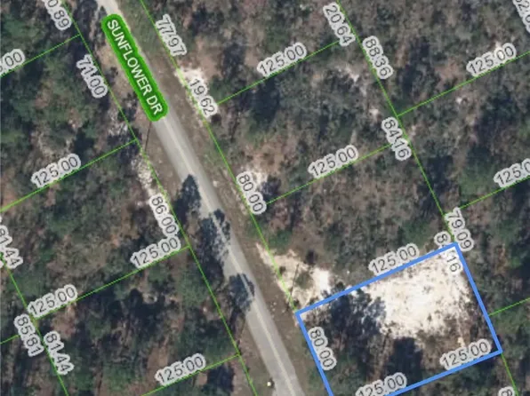 125 Sunflower Dr, Lake Placid, FL 33852