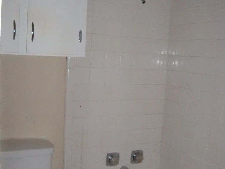 303 W 35th St #203 — Photo 9