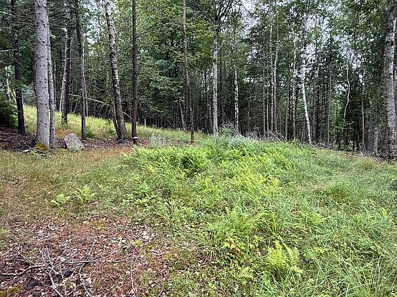 2nd image of 1236 Meadow Pond Road