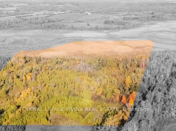 740 Mount Horeb Rd, Kawartha Lakes, ON K0L 2X0