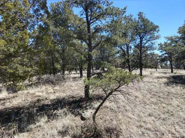 4 Log Cabin Dr, Datil, NM 87821