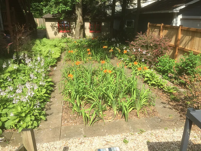 Perenial garden