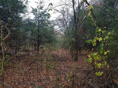 0 Sleepy Hollow Dr, Terrell, TX, 75161
