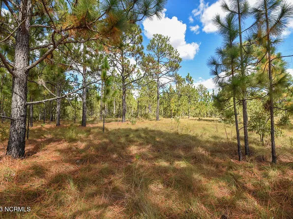 325 Meredith Lane, West End, NC 27376