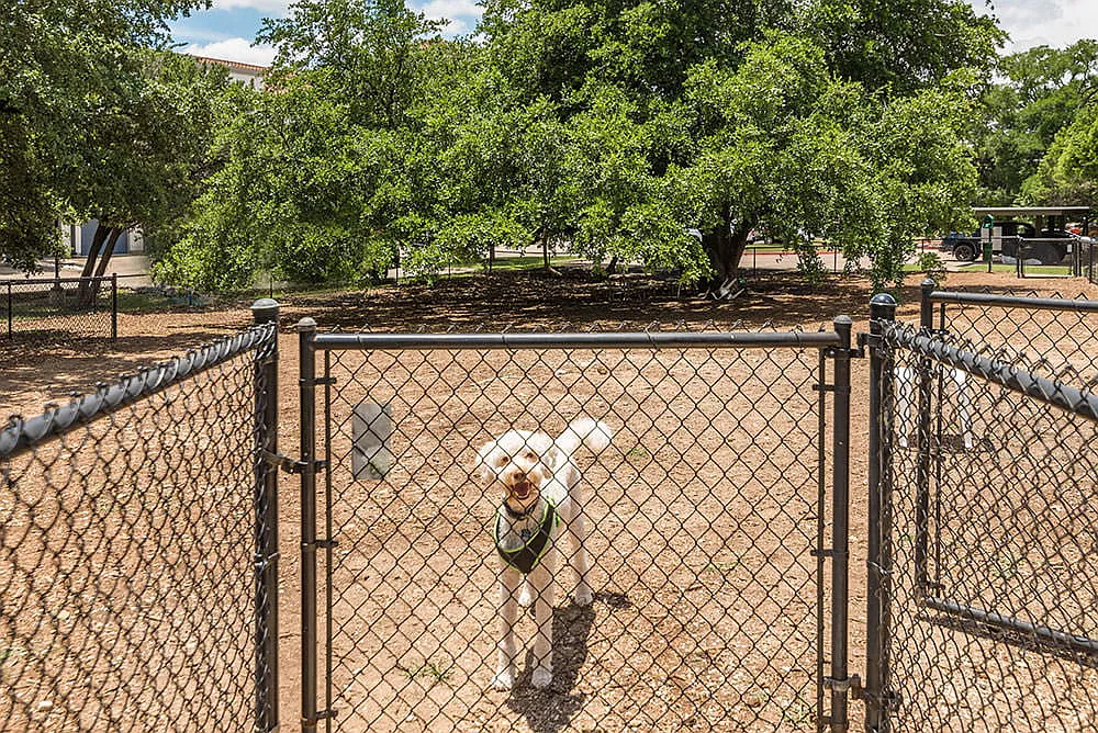 Paseo at Bee Cave — Photo 4