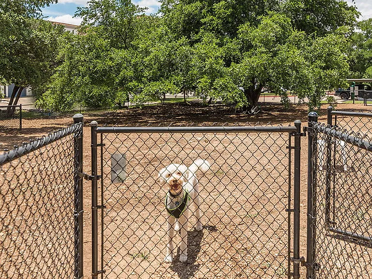 Paseo at Bee Cave — Photo 4