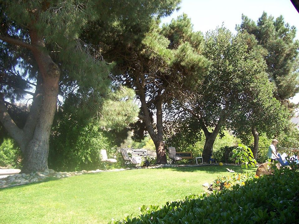 Front Yard Paradise