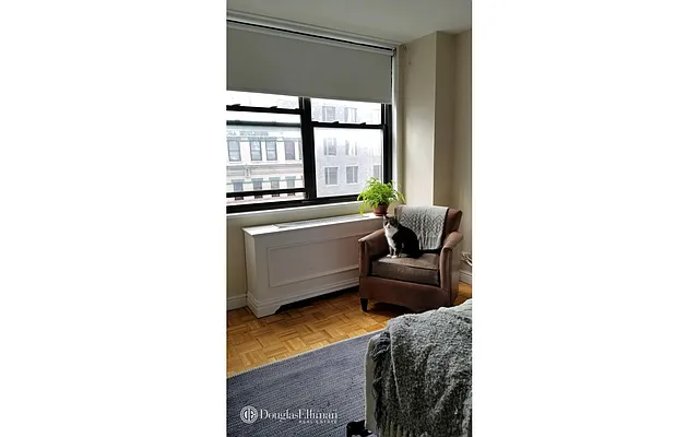 Rented by Douglas Elliman | media 23