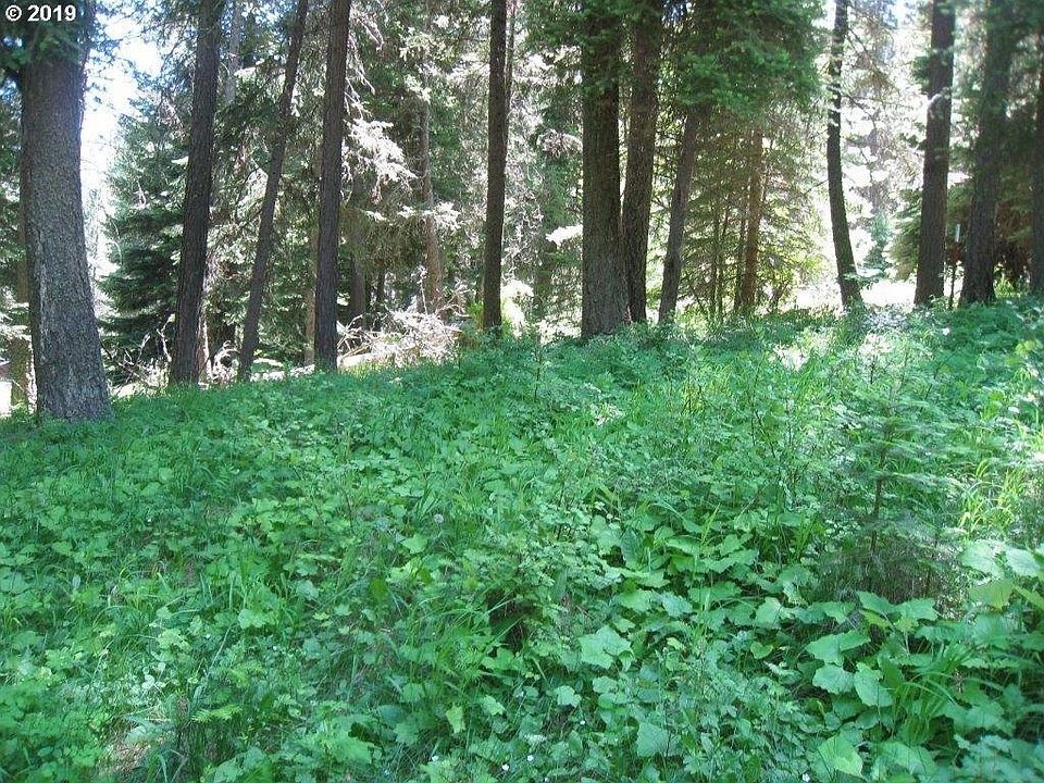 2nd image of 0 Wilderness Rd